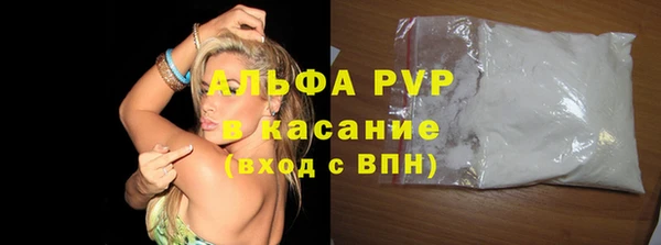 гидра Алексин