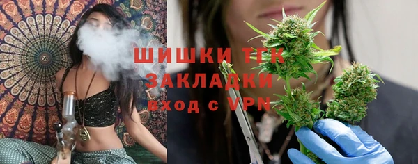 гидра Алексин