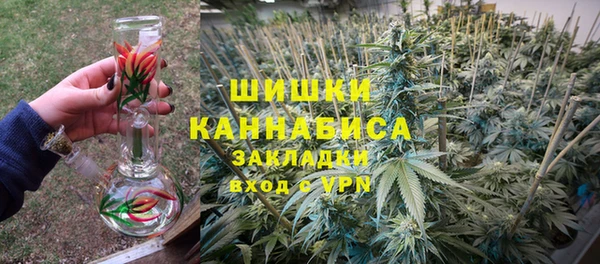 гидра Алексин