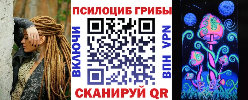 Псилоцибиновые грибы Psilocybine cubensis  купить   Костерёво 